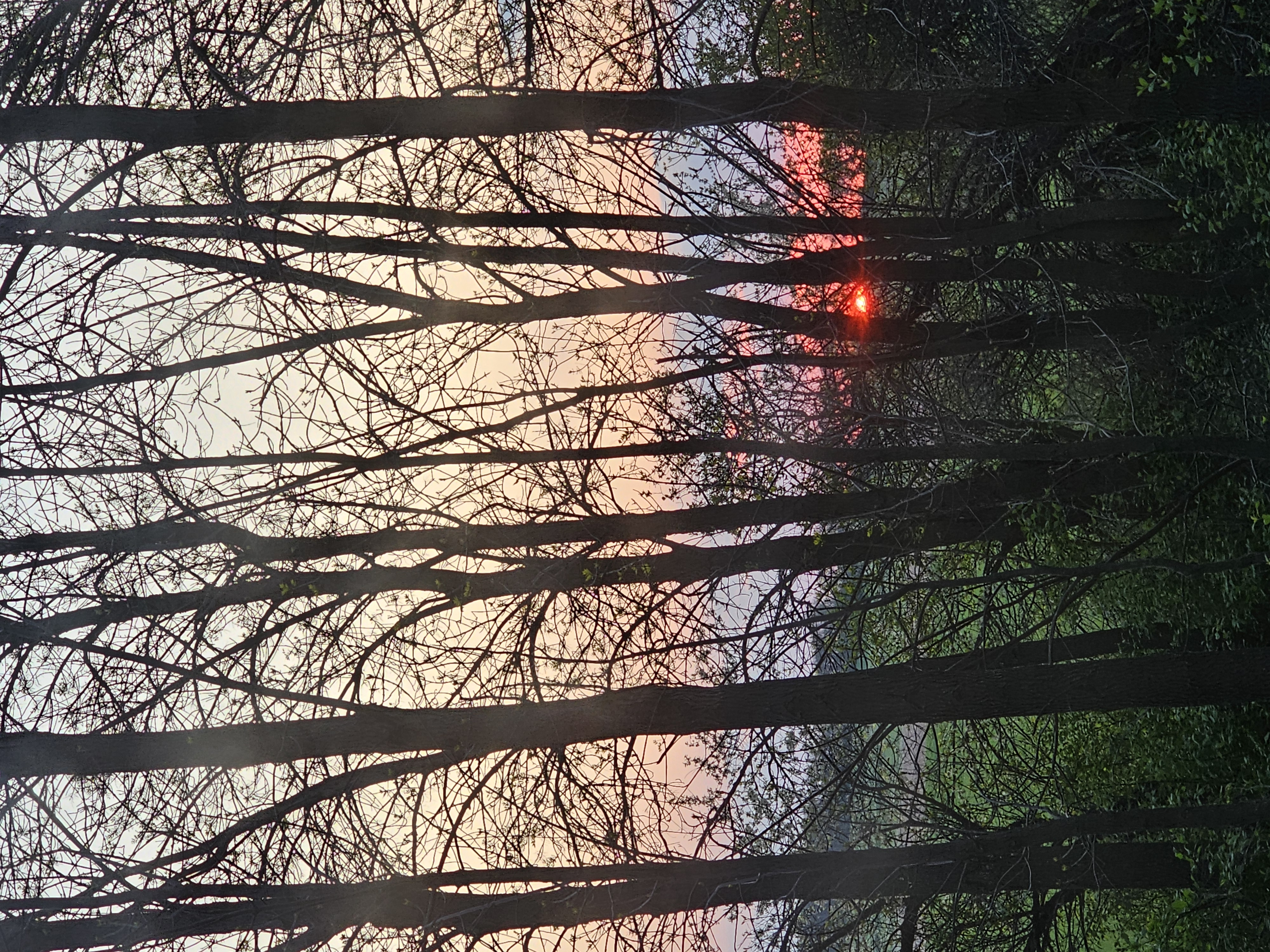 Sunset during year's first camping trip