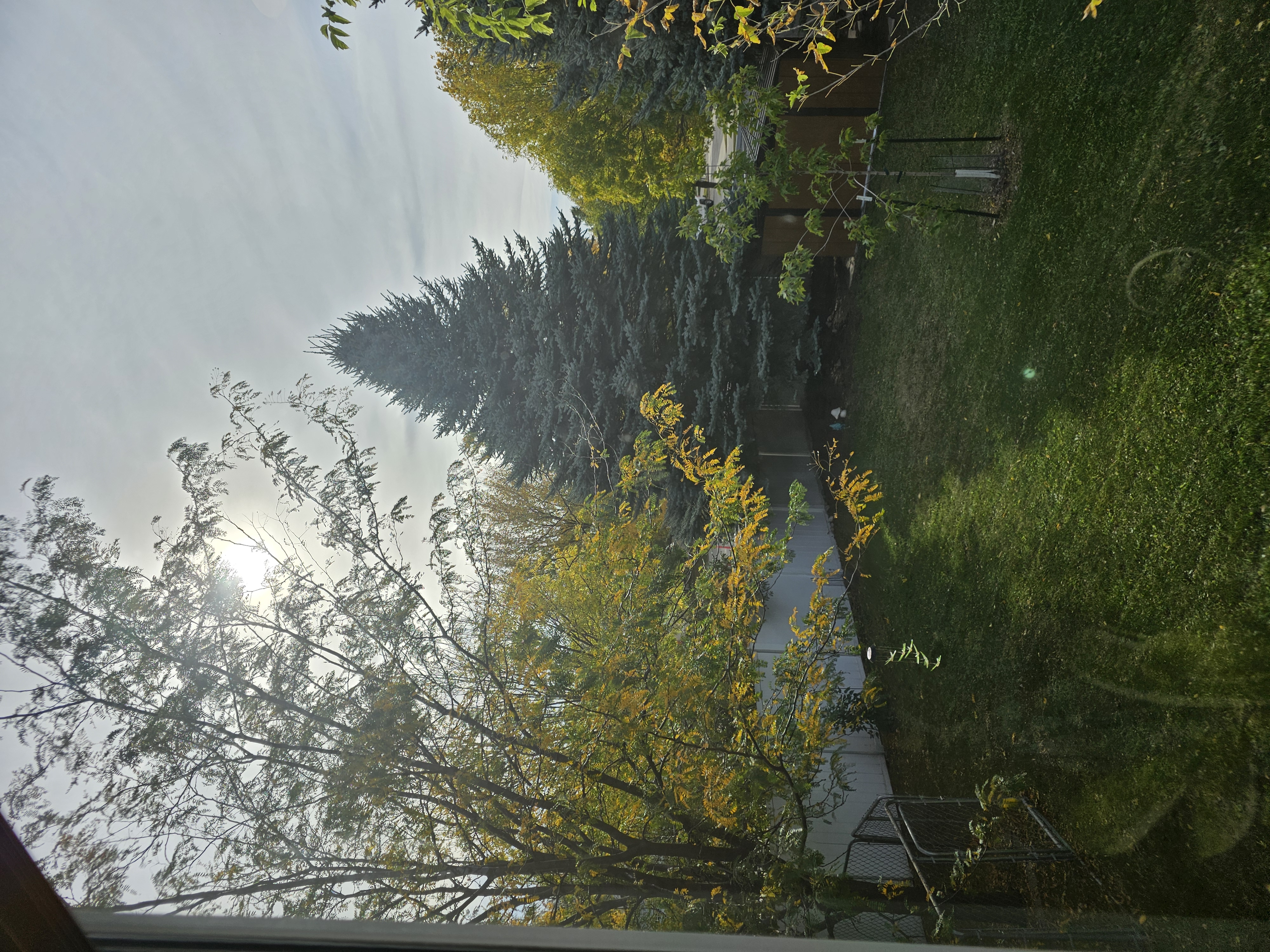 Yard in the October sun