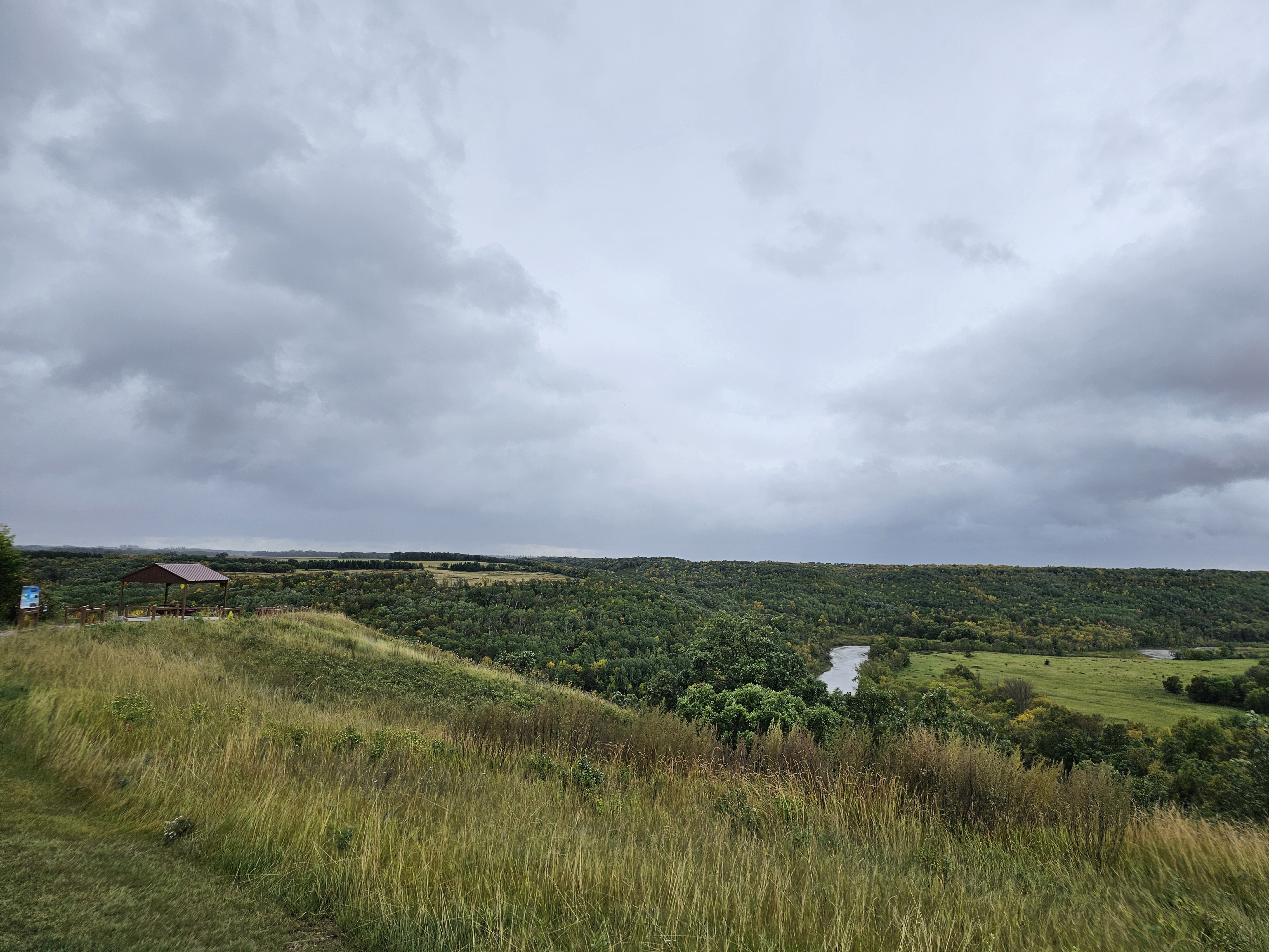 valley with no fall colors